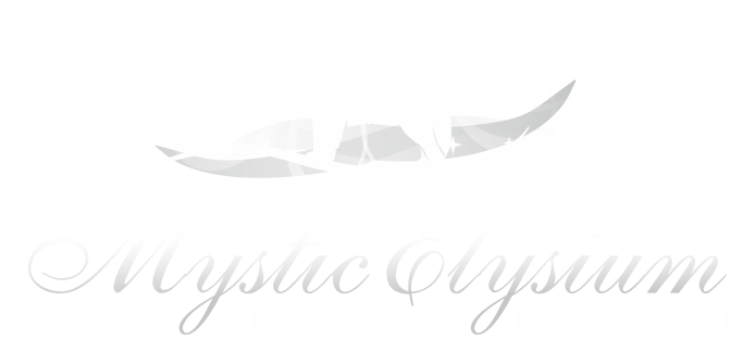 logo5